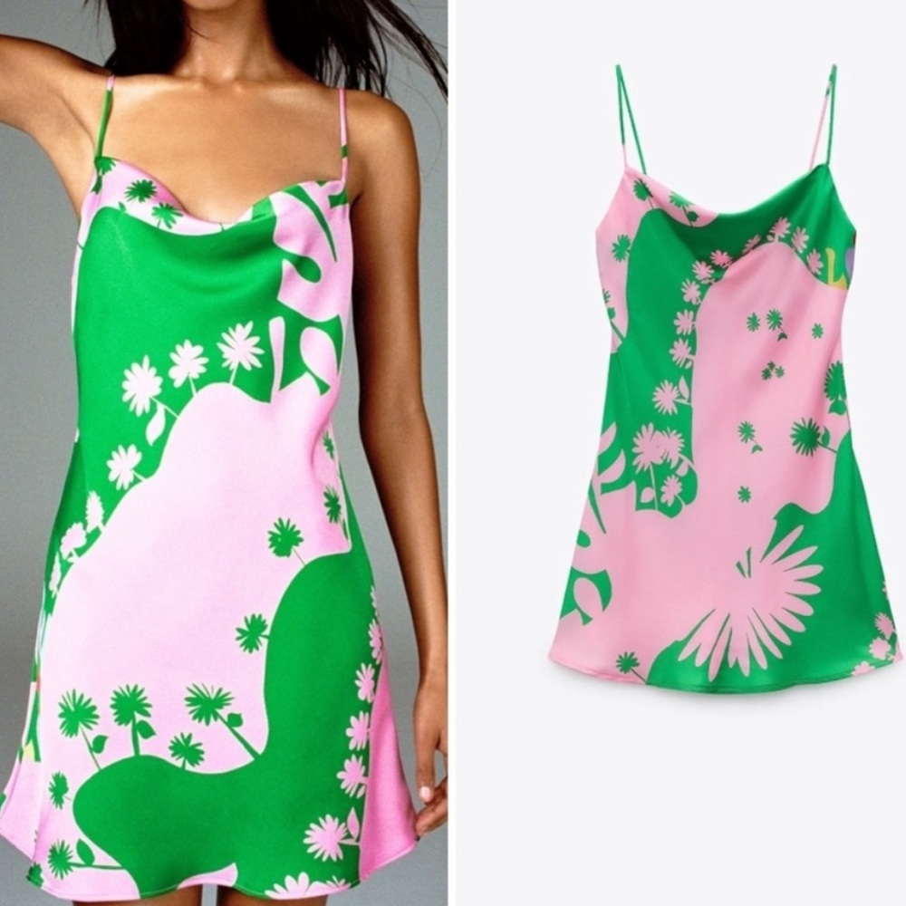 Zara pink and green print dress